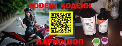 мдпв Камышлов