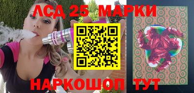 мдпв Камышлов