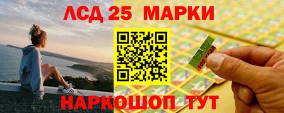 мдпв Камышлов