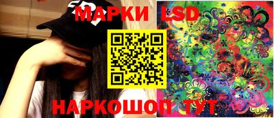 мдпв Камышлов