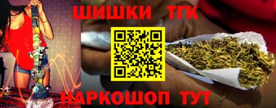 мдпв Камышлов
