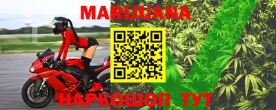 мдпв Камышлов