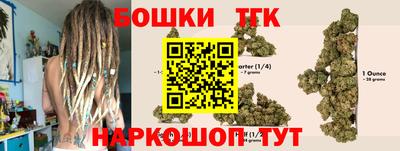 мдпв Камышлов
