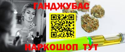 мдпв Камышлов