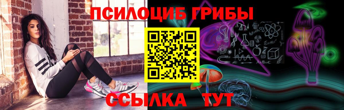 Псилоцибиновые грибы MAGIC MUSHROOMS  Вход с VPN  Галлюциногенные грибы прущие грибы  Великий Новгород 